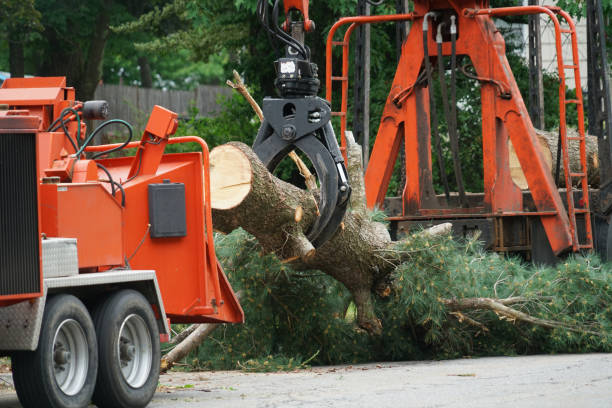Best Firewood Processing and Delivery  in Golden Triangle, NJ